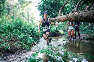 BIB: 
                            <button type="button" onclick="openModal(25446285)" class="btn btn-primary btn-sm float-right btn-popup" data-toggle="modal" data-target=".modal-high-quality">
                        <i class="fas fa-shopping-cart"></i> Add to Cart
                    </button>
                                            <button type="button" onclick="isThisMe(25446285, true)" class="btn btn-success btn-sm float-right btn-popup btn-isme hidden" data-toggle="tooltip" data-placement="bottom" title="นี่คือรูปของคุณใช่ไหม คลิกที่นี่เพื่อเอาเข้าอัลบั้ม">
                        <i class="fas fa-plus"></i> Add to album
                    </button>
                    <button type="button" onclick="isThisMe(25446285, false)" class="btn btn-warning btn-sm float-right btn-popup btn-isnotme hidden">
                        <i class="fas fa-ban"></i> Remove from album
                    </button>